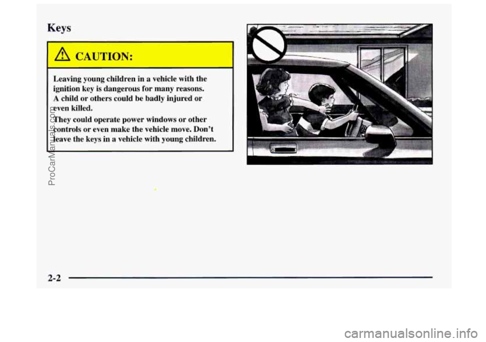 BUICK CENTURY 1997 Manual PDF Keys 
e 
Leaving  young  children  in a vehicle  with  the 
ignition  key  is dangerous  for  many  reasons. 
A child  or  others  could  be  badly  injured  or 
even  killed. 
They  could  operate  p