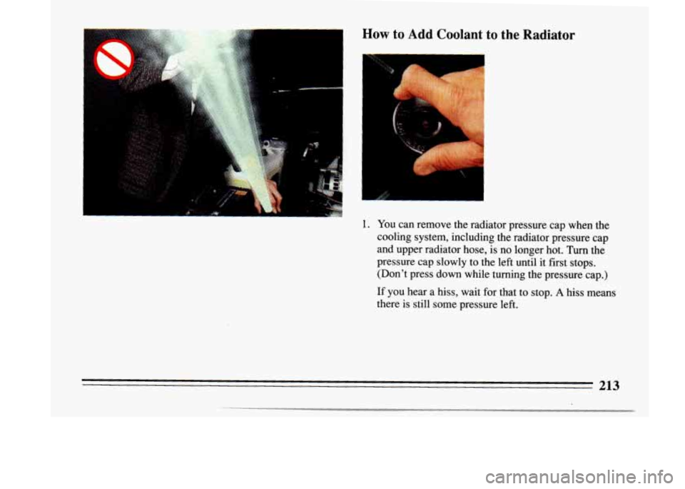 BUICK LESABRE 1993 Owners Manual How to Add Coolant to the Radiator I
A@ #, I
1. You can remove the radiator pressure cap when the
cooling system, including the radiator pressure cap
and upper radiator hose, BUICK LESABRE 1993 Owners Manual How to Add Coolant to the Radiator I
A@ #, I
1. You can remove the radiator pressure cap when the
cooling system, including the radiator pressure cap
and upper radiator hose,