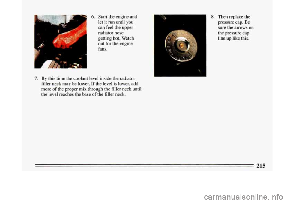 BUICK LESABRE 1993 Owners Manual Bp. 6. Start the engine and
let
it run until you
can feel the upper
radiator hose
getting hot. Watch
out for the engine
fans.
7. By this time the coolant level inside the rad BUICK LESABRE 1993 Owners Manual Bp. 6. Start the engine and
let
it run until you
can feel the upper
radiator hose
getting hot. Watch
out for the engine
fans.
7. By this time the coolant level inside the rad