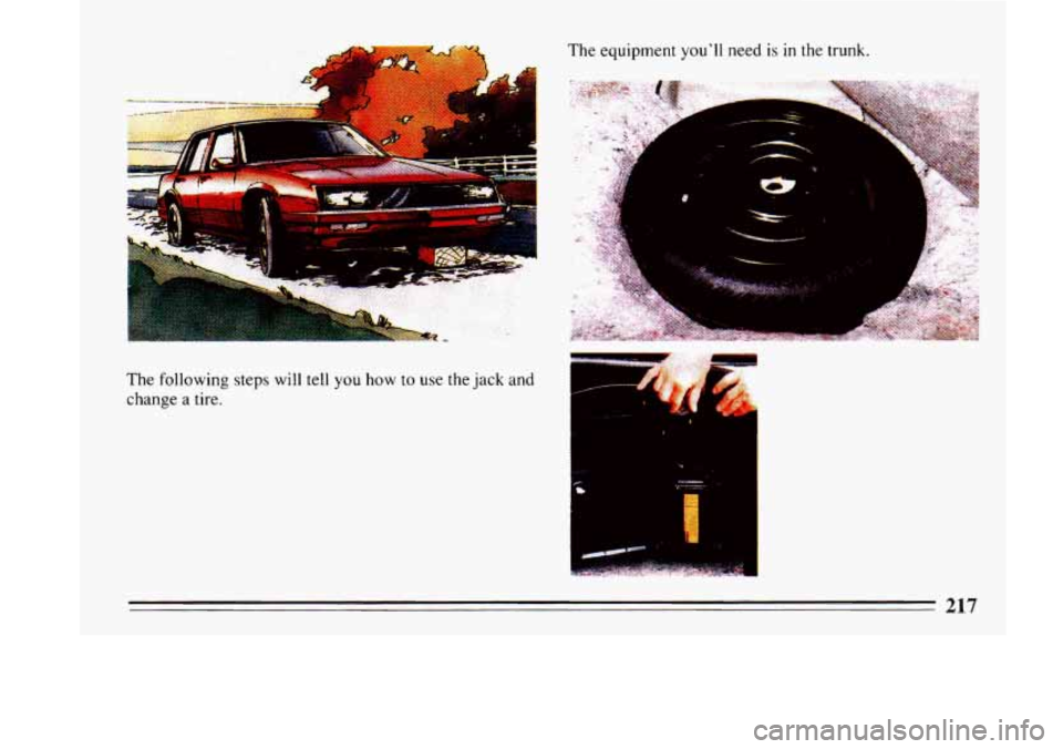 BUICK LESABRE 1993 Owners Manual The following steps will tell you how to use the jack and
change a tire. The
equipment
youll need is in the trunk.
217 BUICK LESABRE 1993 Owners Manual The following steps will tell you how to use the jack and
change a tire. The
equipment
youll need is in the trunk.
217
