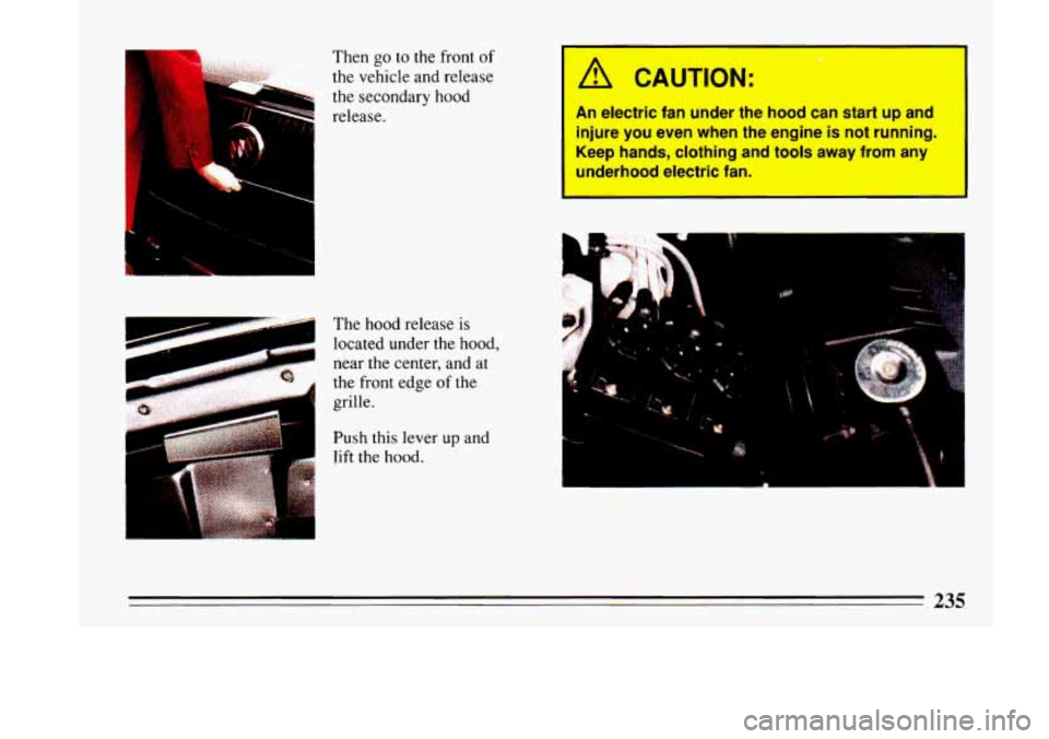 BUICK LESABRE 1993  Owners Manual I -. Then go to the front of 
the vehicle  and  release 
the  secondary  hood 
release. 
I 
I 
The  hood  release is 
I located  under  the  hood, 
near  the  center,  and  at 
the  front  edge  of th