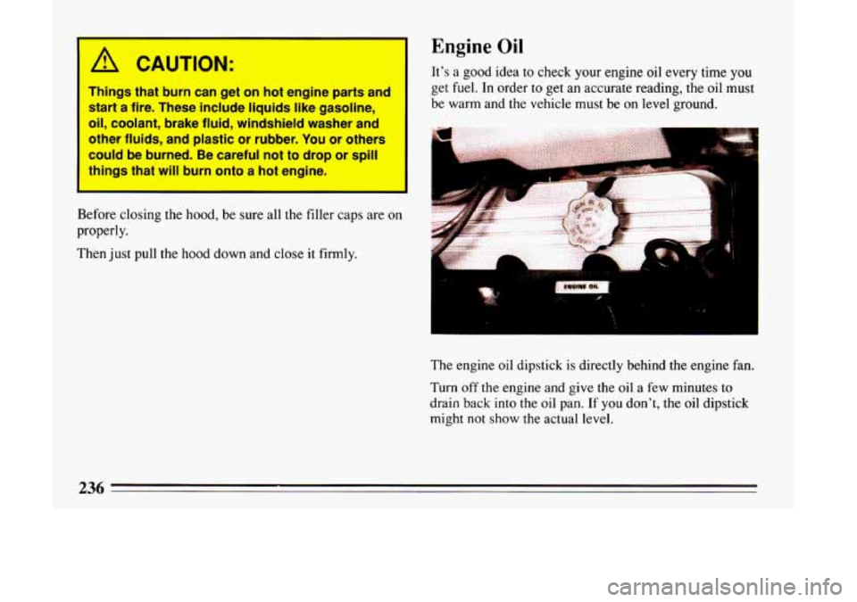 BUICK LESABRE 1993  Owners Manual A CAUTION: 
Things  that  burn  can  get  on  hot  engine  parts  and 
start a  fire.  These  include  liquids  like gasoline, 
oil, coolant,  brake  fluid,  windshield  washer  and 
other  fluids,  a