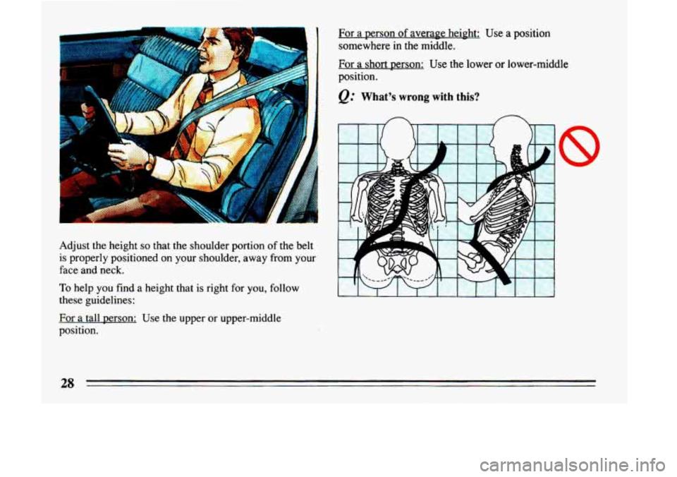 BUICK LESABRE 1993 Owners Manual L) 
For a person of averape height: Use a position 
somewhere 
in the middle. 
Adjust  the height 
so that  the  shoulder  portion of the belt 
is properly positioned 
on your  shoulder,  away  from y