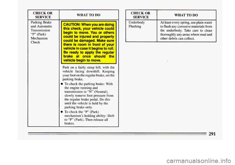 BUICK LESABRE 1993  Owners Manual CHECK OR 
SERVICE 
Parking  Brake 
and  Automatic 
Transmission 
“P” (Park) 
Mechanism 
Check 
WHAT TO DO 
CAUTION: When  you  are  doing 
this  check,  your  vehicle  could 
begin 
to move.  You 
