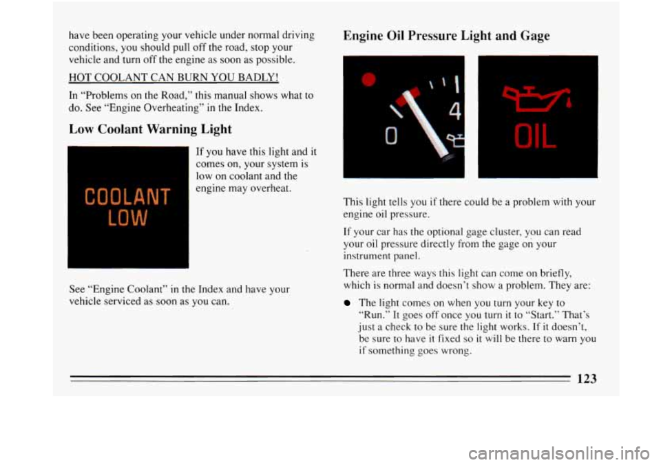 BUICK PARK AVENUE 1993 Owners Manual have been operating your vehicle under normal driving
conditions,
you should pull off the road, stop your
vehicle and turn off the engine as soon as possible.
HOT COOLANT CAN BURN YOU BUICK PARK AVENUE 1993 Owners Manual have been operating your vehicle under normal driving
conditions,
you should pull off the road, stop your
vehicle and turn off the engine as soon as possible.
HOT COOLANT CAN BURN YOU