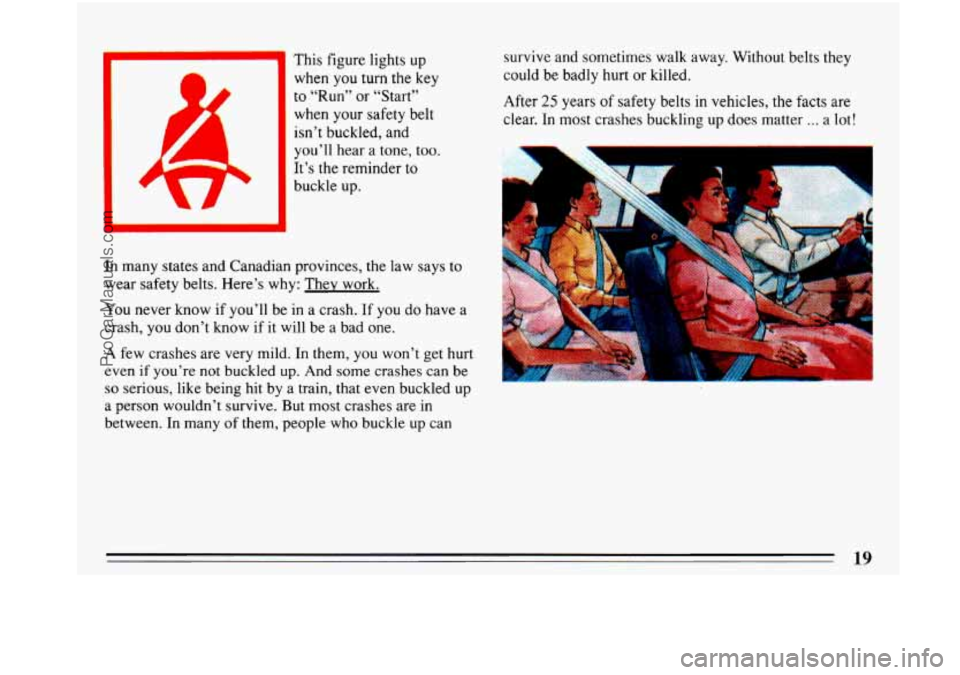BUICK PARK AVENUE 1993 Owners Manual when you turn the key 
to “Run”  or  “Start” 
when your 
safety belt 
isn’t  buckled,  and 
you’ll  hear  a  tone,  too. 
It’s  the reminder  to 
buckle up. 
In many  states and Canadian