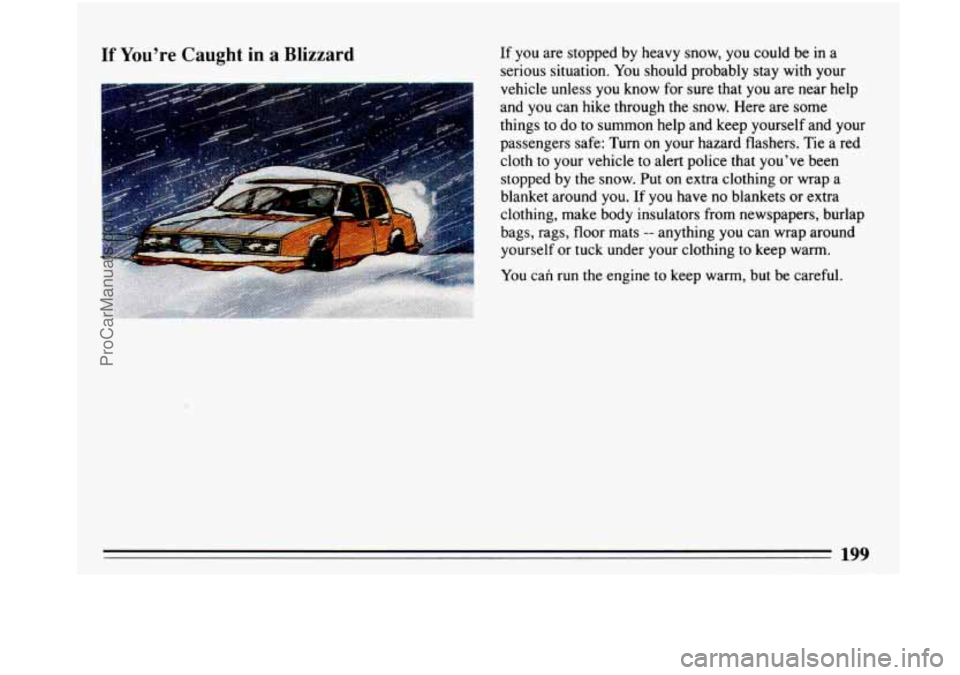 BUICK PARK AVENUE 1993 Owners Manual If Youre Caught in a Blizzard
J
If you are stopped by heavy snow, you could be in a
serious situation. You should probably stay with your
vehicle unless you know for sure that y BUICK PARK AVENUE 1993 Owners Manual If Youre Caught in a Blizzard
J
If you are stopped by heavy snow, you could be in a
serious situation. You should probably stay with your
vehicle unless you know for sure that y