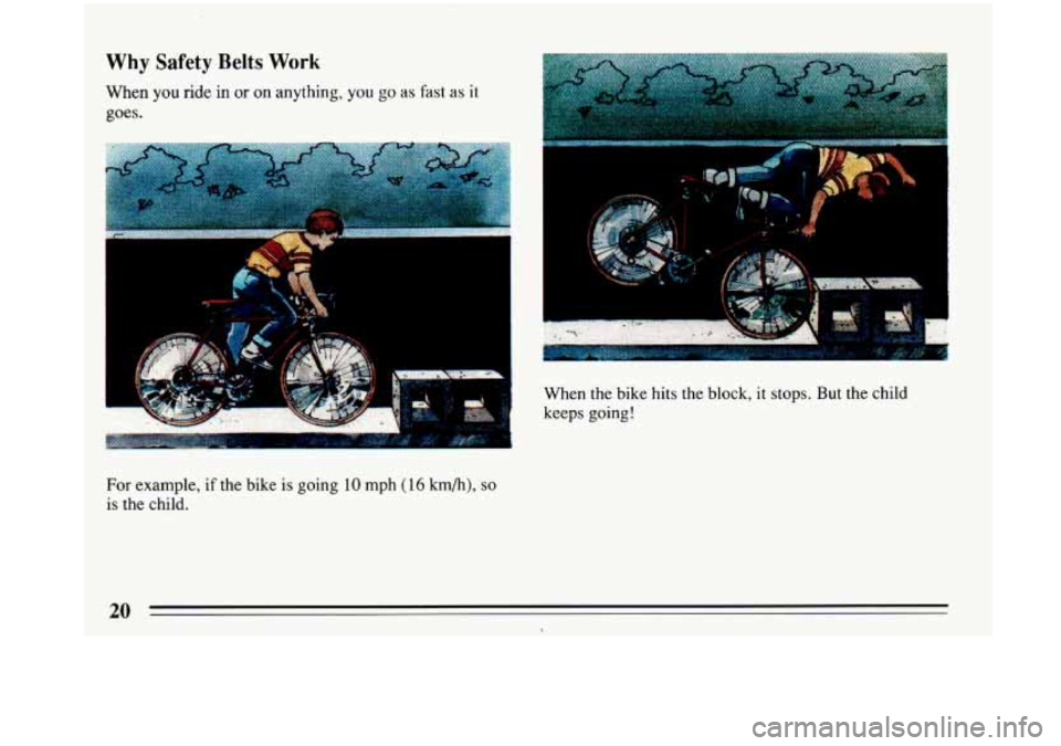 BUICK PARK AVENUE 1993 Owners Manual Why Safety Belts Work 
When you ride in or on anything, you go as fast as it 
goes. 
When the bike hits the block, it stops.  But the child 
keeps 
going! 
For example, if the  bike  is going 10 mph (