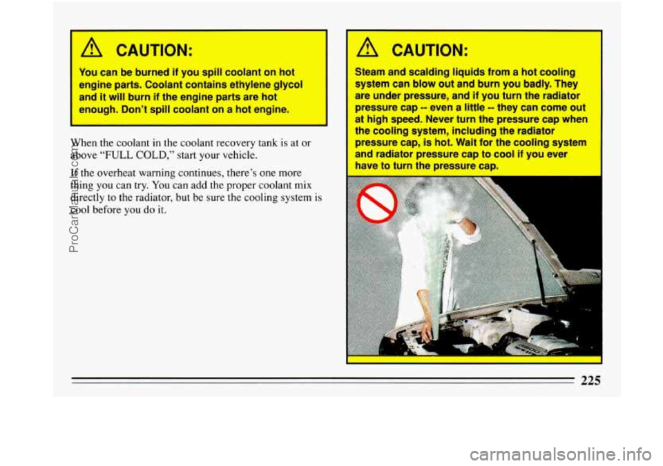 BUICK PARK AVENUE 1993 Owners Manual A CAUTION: A CAUTION:
You can be burned if you spill cootant on hot
engine parts. Coolant contains ethylene glycol
and it will burn if the engine parts are hot
enough. Don’t spill coolant on BUICK PARK AVENUE 1993 Owners Manual A CAUTION: A CAUTION:
You can be burned if you spill cootant on hot
engine parts. Coolant contains ethylene glycol
and it will burn if the engine parts are hot
enough. Don’t spill coolant on
