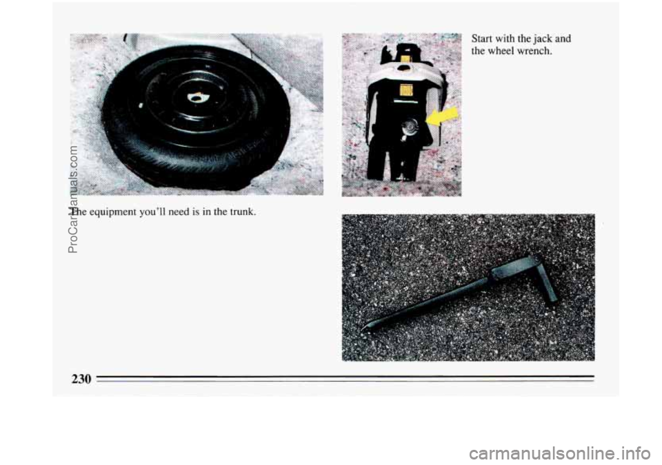 BUICK PARK AVENUE 1993  Owners Manual The equipment you’ll need is in the trunk.  Start 
with the 
jack and 
the wheel wrench. 
230 
ProCarManuals.com 