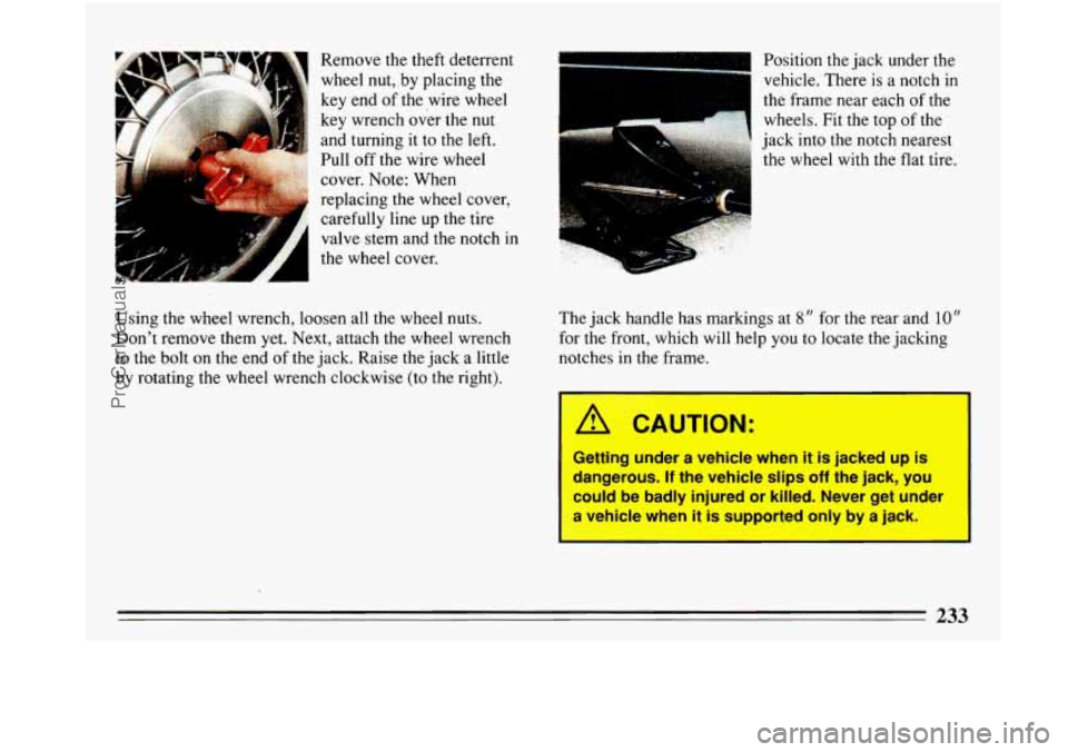 BUICK PARK AVENUE 1993 Owners Manual .,. . I
Remove the theft deterrent
wheel nut, by placing the
key end of the wire wheel
key wrench over the nut
and turning it to the left.
Pull off the wire wheel
cover. Note: When BUICK PARK AVENUE 1993 Owners Manual .,. . I
Remove the theft deterrent
wheel nut, by placing the
key end of the wire wheel
key wrench over the nut
and turning it to the left.
Pull off the wire wheel
cover. Note: When