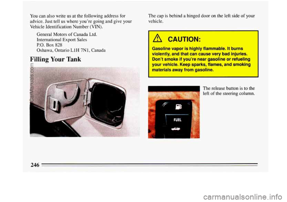 BUICK PARK AVENUE 1993 Owners Manual You can also write us at the following address for
advice. Just tell us where youre going and give your
Vehicle Identification Number
(VIN).
General Motors of Canada Ltd.
Internationa BUICK PARK AVENUE 1993 Owners Manual You can also write us at the following address for
advice. Just tell us where youre going and give your
Vehicle Identification Number
(VIN).
General Motors of Canada Ltd.
Internationa
