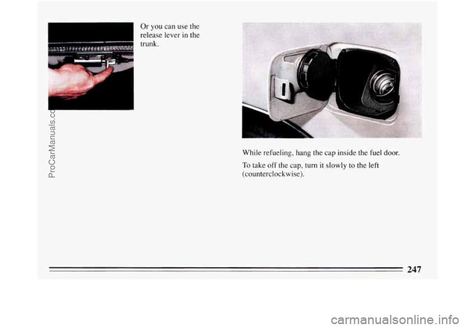 BUICK PARK AVENUE 1993 Owners Manual Or you can use the
release lever in the
trunk.
I
247
ProCarManuals.com BUICK PARK AVENUE 1993 Owners Manual Or you can use the
release lever in the
trunk.
I
247
ProCarManuals.com