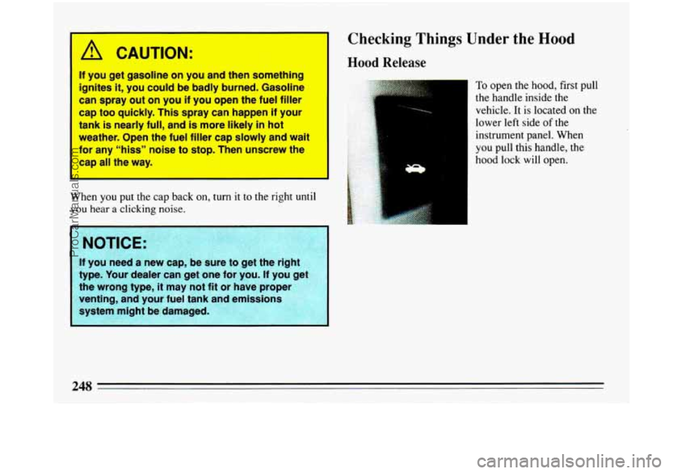 BUICK PARK AVENUE 1993 Owners Manual A CAUTION:
If you get gasoline on you and then something
ignites
it, YOU could be badly burned. Gasoline
can spray out on you if you open the fuel filler
cap too quickly. This spray can happen if BUICK PARK AVENUE 1993 Owners Manual A CAUTION:
If you get gasoline on you and then something
ignites
it, YOU could be badly burned. Gasoline
can spray out on you if you open the fuel filler
cap too quickly. This spray can happen if