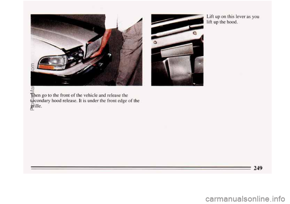 BUICK PARK AVENUE 1993 Owners Manual Then go to the front of the vehicle and release the
secondary hood release. It is under the front edge of the
grille.
L
ProCarManuals.com BUICK PARK AVENUE 1993 Owners Manual Then go to the front of the vehicle and release the
secondary hood release. It is under the front edge of the
grille.
L
ProCarManuals.com