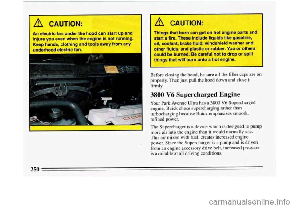 BUICK PARK AVENUE 1993 Owners Manual A CAUTION:
An electric fan under the hood can start up and
injure you even when the engine is not running.
Keep hands, clothing and tools away from any
I underhood electric fan. I
BUICK PARK AVENUE 1993 Owners Manual A CAUTION:
An electric fan under the hood can start up and
injure you even when the engine is not running.
Keep hands, clothing and tools away from any
I underhood electric fan. I