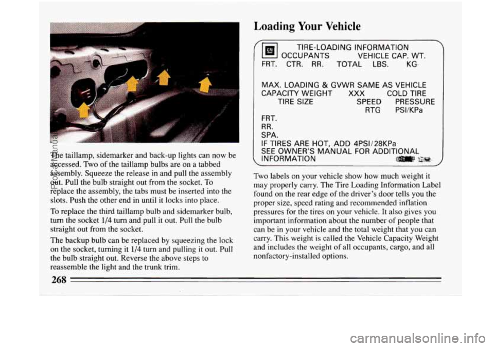BUICK PARK AVENUE 1993 Owners Manual 1
Loading Your Vehicle
The taillamp, sidemarker and back-up lights can now be
accessed. Two of the taillamp bulbs are on a tabbed
assembly. Squeeze the release in and pull the assembly
out. BUICK PARK AVENUE 1993 Owners Manual 1
Loading Your Vehicle
The taillamp, sidemarker and back-up lights can now be
accessed. Two of the taillamp bulbs are on a tabbed
assembly. Squeeze the release in and pull the assembly
out.