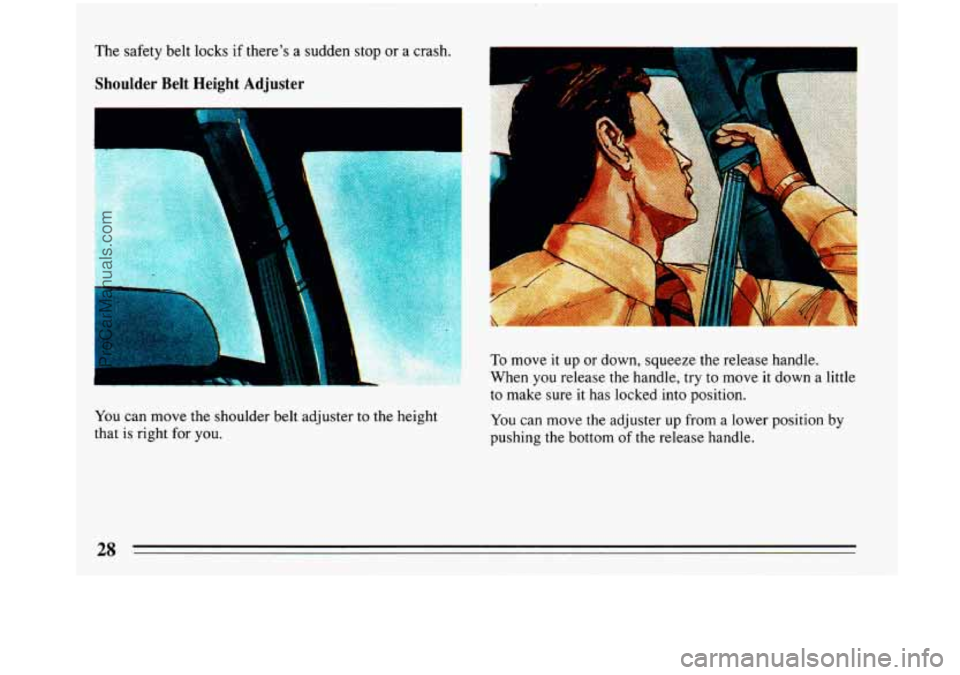 BUICK PARK AVENUE 1993 Owners Manual The safety belt locks if theres  a sudden  stop  or a crash. 
Shoulder  Belt  Height  Adjuster E 
You can move the shoulder belt  adjuster to the height 
that is right  for you. 
To move it  up or do