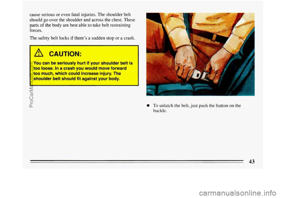 BUICK PARK AVENUE 1993 Service Manual cause serious or even fatal injuries. The shoulder belt
should go over the shoulder and across the chest. These
parts of the body are best able to take belt restraining
forces. BUICK PARK AVENUE 1993 Service Manual cause serious or even fatal injuries. The shoulder belt
should go over the shoulder and across the chest. These
parts of the body are best able to take belt restraining
forces.