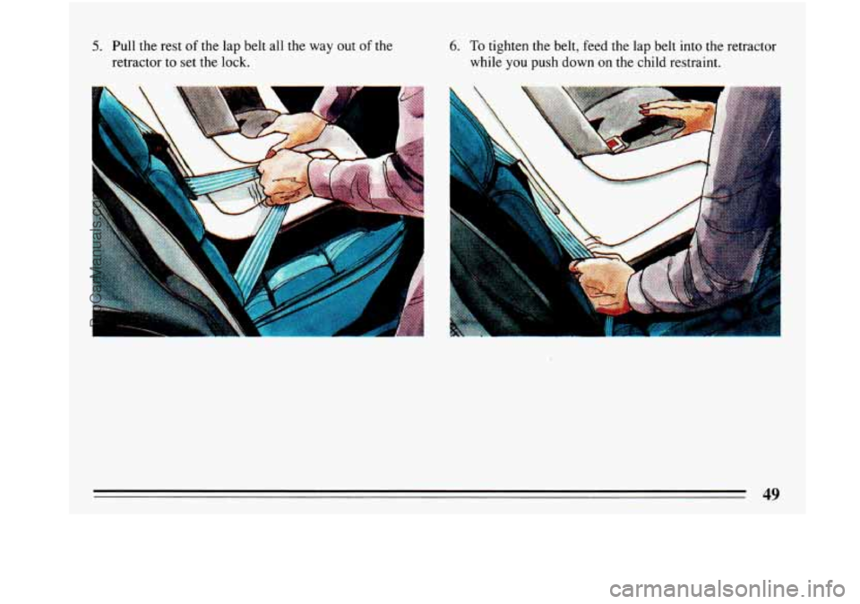 BUICK PARK AVENUE 1993 Workshop Manual 5. Pull  the rest of the  lap  belt all  the way  out of the 
retractor  to set the lock. 
? 
6. To tighten the belt,  feed the lap belt into the  retractor 
while 
you push down on the  child restrai