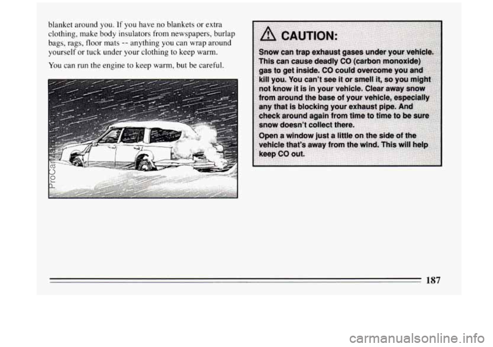 BUICK PARK AVENUE 1994  Owners Manual blanket  around  you. If  you have no blankets  or extra 
clothing,  make  body insulators from newspapers, burlap 
bags,  rags,  floor  mats 
-- anything you can wrap around 
yourself or tuck under y