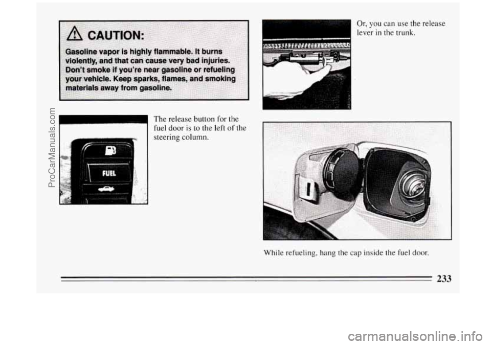 BUICK PARK AVENUE 1994  Owners Manual The release button for the 
fuel door  is to the left of the 
steering  column. 
Or, you  can use the release 
lever  in the 
trunk. 
While refueling, hang the  cap inside the fuel door. 
233 
ProCarM