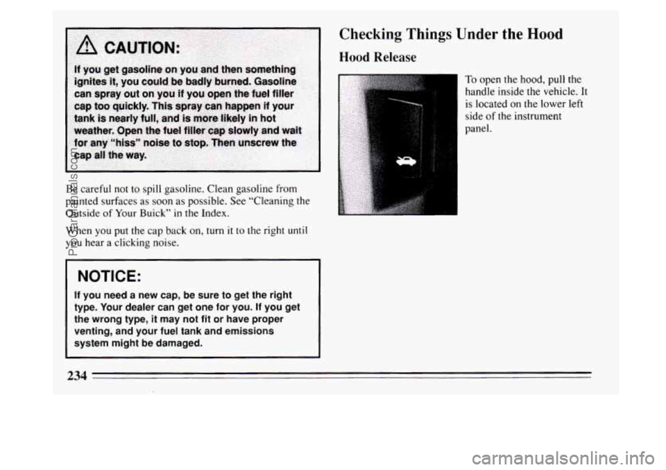 BUICK PARK AVENUE 1994  Owners Manual Be careful  not to spill  gasoline.  Clean gasoline  from 
painted  surfaces  as soon  as possible.  See “Cleaning the 
Outside 
of Your  Buick” in the Index. 
When 
you put  the cap  back  on, tu