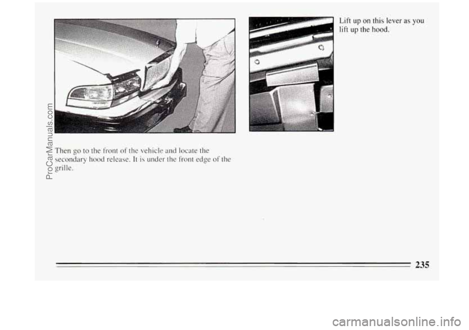 BUICK PARK AVENUE 1994  Owners Manual Then go to  the  front  of  the vehicle and locate  the 
secondary  hood release. 
It is under  the front edge of the 
L- grille.  Lift 
up on this lever as you 
lift up the 
hood. 
235 
ProCarManuals