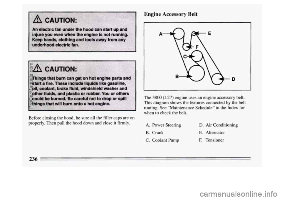 BUICK PARK AVENUE 1994  Owners Manual Before closing the hood, be  sure all the filler caps  are on 
properly.  Then pull the hood down and close it  firmly. 
Engine  Accessory Belt 
A 
D 
The 3800 (L27) engine uses an  engine  accessory 