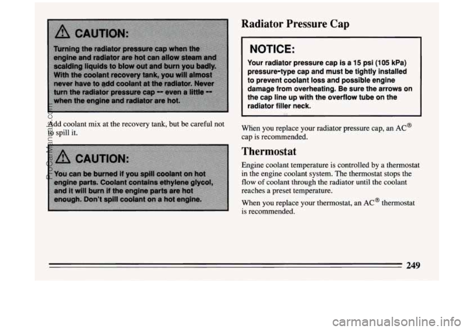 BUICK PARK AVENUE 1994  Owners Manual Add coolant  mix at  the  recovery tank, but be careful  not 
to  spill 
it. 
Radiator Pressure Cap 
Your  radiator  pressure  cap  is a 15 psi (1 05 kPa) 
pressure-type  cap  and  must  be  tightly  