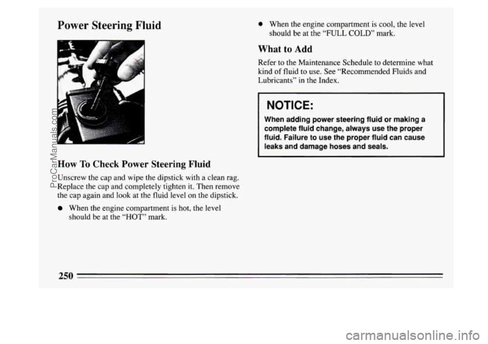 BUICK PARK AVENUE 1994  Owners Manual Power Steering Fluid 
How To Check Power  Steering Fluid 
Unscrew the  cap and wipe the dipstick  with a clean rag. 
Replace  the cap  and  completely  tighten it. Then  remove 
the  cap  again and lo