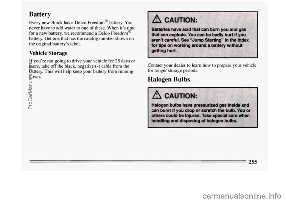 BUICK PARK AVENUE 1994  Owners Manual Battery 
Every new Buick has a Delco  Freedom’  battery. You 
never  have  to  add  water  to one  of these.  When  it’s time 
for  a  new battery,  we recommend  a  Delco  Freedom’ 
battery.  G