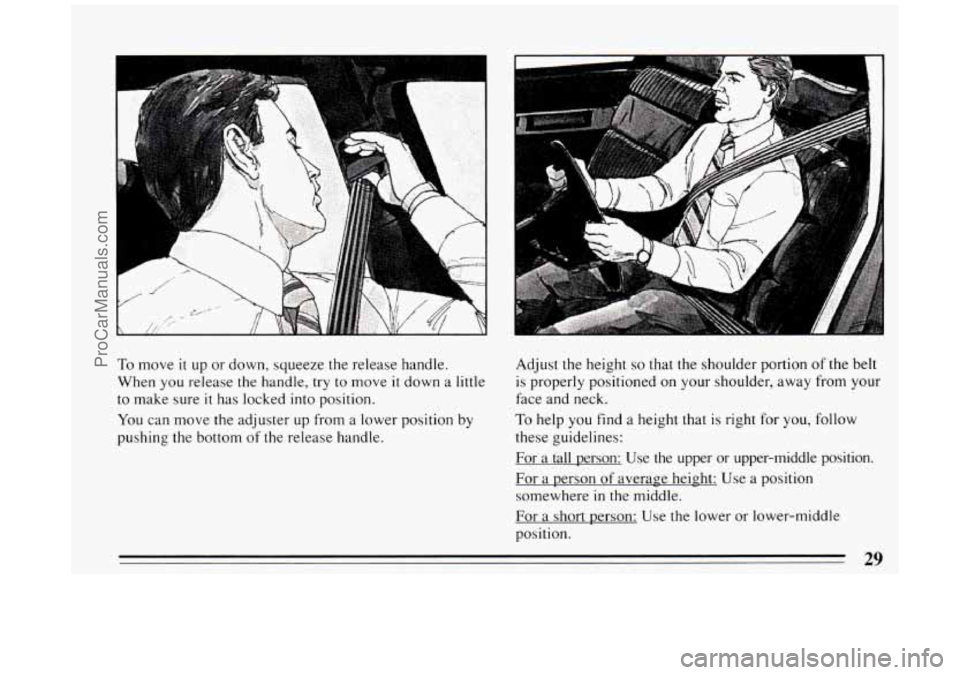 BUICK PARK AVENUE 1994 Owners Guide i 
1 
L 1 
To move it up or  down,  squeeze the release handle. 
When  you release the handle, 
try to move it down  a little 
to  make  sure 
it has locked  into position. 
You  can move the  adjuste