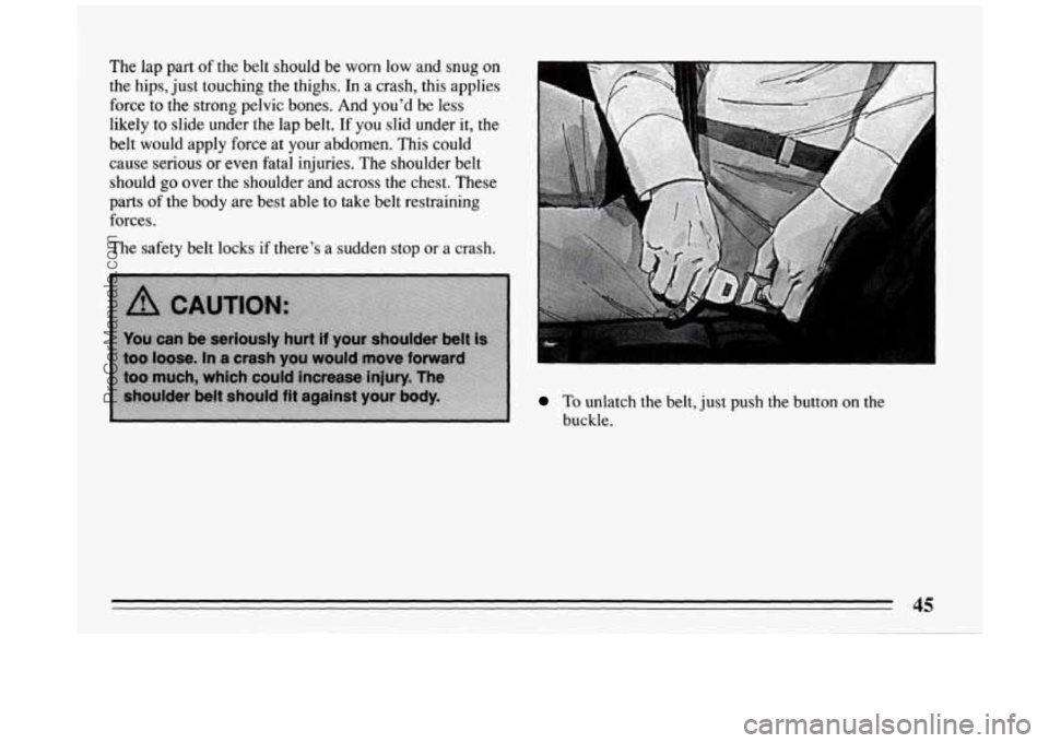 BUICK PARK AVENUE 1994 Service Manual The lap part of the belt should be worn low and snug on
the hips, just touching the thighs.
In a crash, this applies
force to the strong pelvic bones. And you’d be less
likely to BUICK PARK AVENUE 1994 Service Manual The lap part of the belt should be worn low and snug on
the hips, just touching the thighs.
In a crash, this applies
force to the strong pelvic bones. And you’d be less
likely to