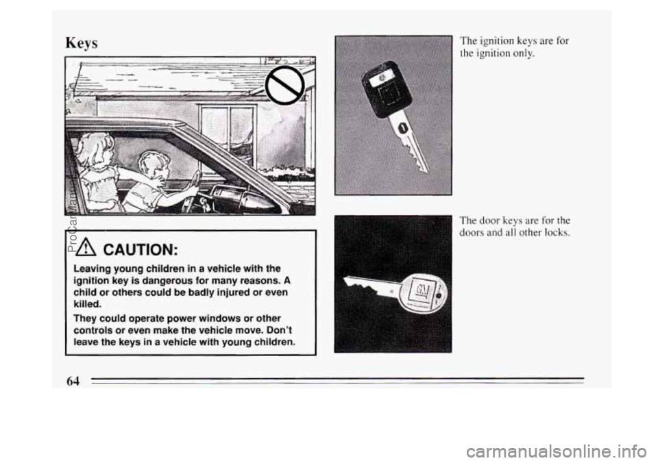 BUICK PARK AVENUE 1994 Repair Manual Keys
/d CAUTION:
Leaving young children in a vehicle with the
ignition key
is dangerous for many reasons. A
child or others could be badly injured or even
killed.
They could op BUICK PARK AVENUE 1994 Repair Manual Keys
/d CAUTION:
Leaving young children in a vehicle with the
ignition key
is dangerous for many reasons. A
child or others could be badly injured or even
killed.
They could op