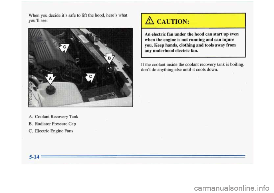 BUICK PARK AVENUE 1996  Owners Manual When  you decideit’s safe to lift the hood,  here’s  what 
you’ll see: 
An electric  fan  under  the  hood  can  start  up  even 
when  the  engine  is  not  running  and  can  injure 
you. Keep