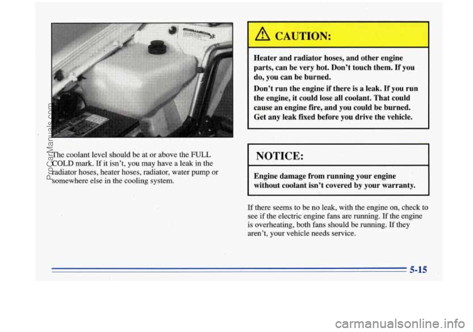BUICK PARK AVENUE 1996  Owners Manual The  coolant level should  be at or  above  the FULL 
COLD mark. If it  isnt,  you  may  have a  leak  in  the 
radiator  hoses,  heater  hoses,  radiator, water 
purnp or 
somewhere  elsC 
in the-co