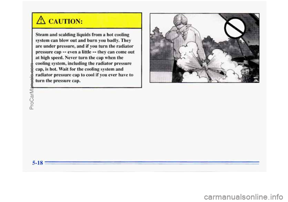 BUICK PARK AVENUE 1996  Owners Manual Steam  and scalding  liquids  from a hot  cooling 
system  can  blow  out  and  burn you badly.  They 
are  under  pressure,  and 
if you  turn  the  radiator 
pressure  cap 
-- even a little -- they 