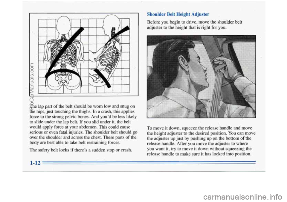 BUICK PARK AVENUE 1996 Owners Manual .#! 
The lap part of the  belt  should  be  worn.  low  and  snug on 
the  hips,  just touching  the thighs. In a crash,  this  applies 
force  to  the  strong  pelvic  bones.  And  youd be  less  l