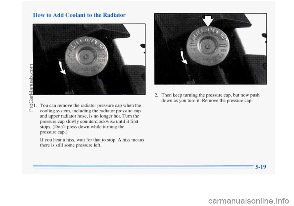 BUICK PARK AVENUE 1996  Owners Manual Horn )., Add CL=-~=- to the  Radiator 
1. You can remove the  radiator pressure cap when  the 
cooling system, including  the  radiator  pressure cap 
and  upper  radiator  hose, is  no longer hot.  T