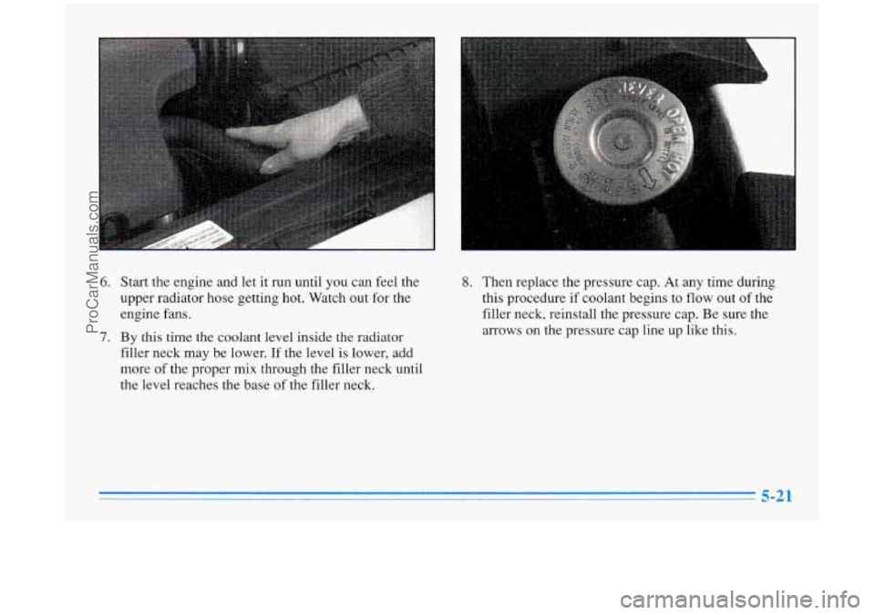 BUICK PARK AVENUE 1996  Owners Manual 6. Start the engine and  let it run  until  you  can feel  the 
upper  radiator  hose  getting hot.  Watch  out for  the 
engine fans. 
7. By  this  time the coolant level inside  the  radiator 
fille