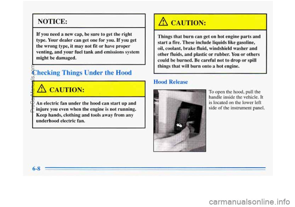 BUICK PARK AVENUE 1996 Owners Manual NOTICE:
If you need a new cap, be sure to get the right
type. Your dealer can get one for
you. If you get
the wrong type, it may not fit or have proper
venting, and your fuel BUICK PARK AVENUE 1996 Owners Manual NOTICE:
If you need a new cap, be sure to get the right
type. Your dealer can get one for
you. If you get
the wrong type, it may not fit or have proper
venting, and your fuel