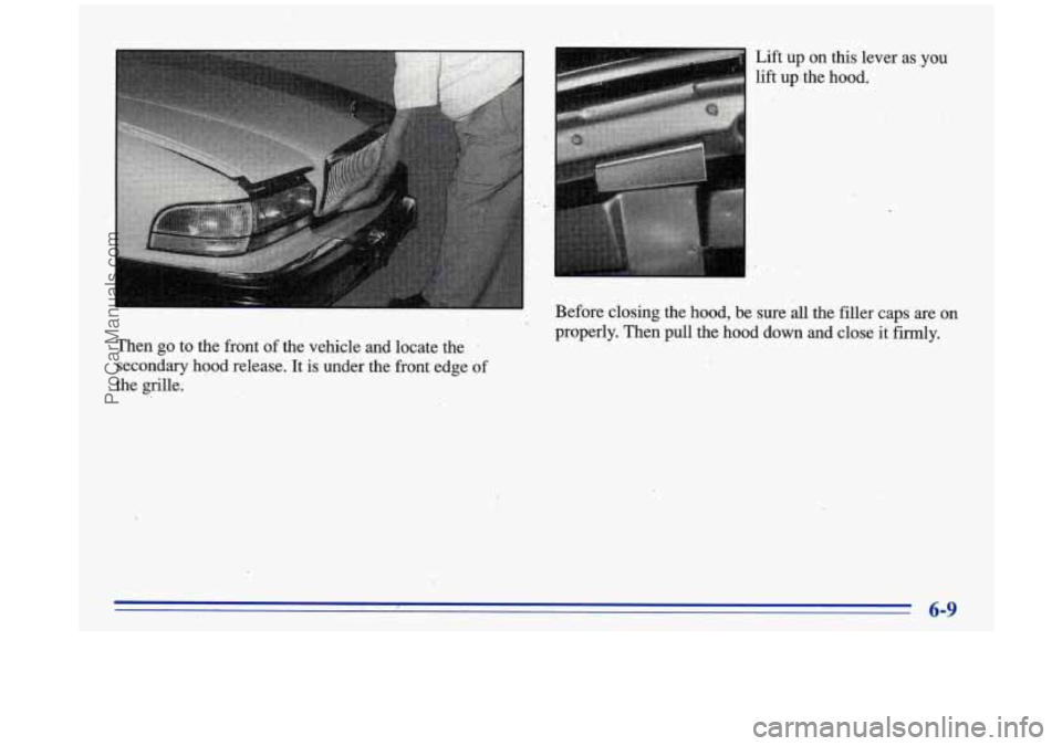 BUICK PARK AVENUE 1996 Owners Manual Then go to the front of the vehicle and locate the
secondary hood release. It
is under the front edge
the grille. Lift
up on
this lever asgou
lift up #the hood.
Before closing th BUICK PARK AVENUE 1996 Owners Manual Then go to the front of the vehicle and locate the
secondary hood release. It
is under the front edge
the grille. Lift
up on
this lever asgou
lift up #the hood.
Before closing th