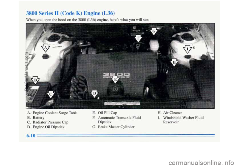 BUICK PARK AVENUE 1996 Owners Manual wv DCIIC~ II [~uut: n) u~gmc (L36)
When you open the hood on the 3800 (L36) engine, here’s what you will see:
A. Engine Coolant Surge Tank
B. Battery
C. Radiator Pressure Cap
D. En BUICK PARK AVENUE 1996 Owners Manual wv DCIIC~ II [~uut: n) u~gmc (L36)
When you open the hood on the 3800 (L36) engine, here’s what you will see:
A. Engine Coolant Surge Tank
B. Battery
C. Radiator Pressure Cap
D. En