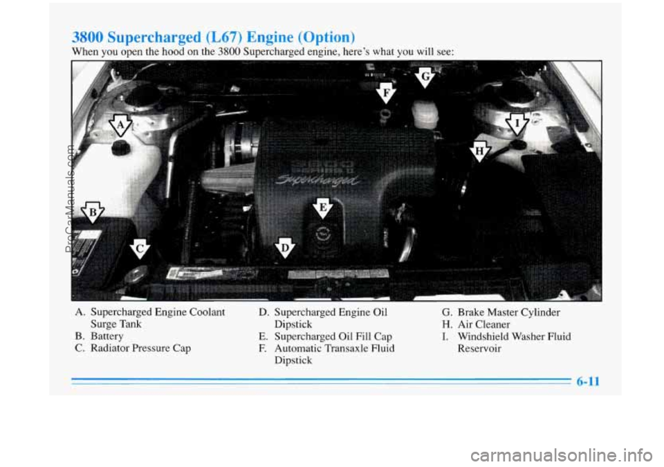 BUICK PARK AVENUE 1996 Owners Manual 3800 Supercharged (L67) Engine (Option)
When you open the hood on the 3800 Supercharged engine, heres what you will see:
... . .
A. Supercharged Engine Coolant
B. Battery
C. Radiator Pr BUICK PARK AVENUE 1996 Owners Manual 3800 Supercharged (L67) Engine (Option)
When you open the hood on the 3800 Supercharged engine, heres what you will see:
... . .
A. Supercharged Engine Coolant
B. Battery
C. Radiator Pr