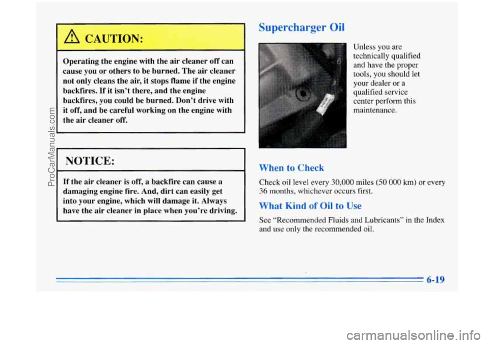BUICK PARK AVENUE 1996 Owners Manual 1 Supercharger Oil
Operati--; the engine with the air cleaner off can
cause you or others to be burned. The air cleaner
not only cleans the air, it stops flame if the engine
b BUICK PARK AVENUE 1996 Owners Manual 1 Supercharger Oil
Operati--; the engine with the air cleaner off can
cause you or others to be burned. The air cleaner
not only cleans the air, it stops flame if the engine
b