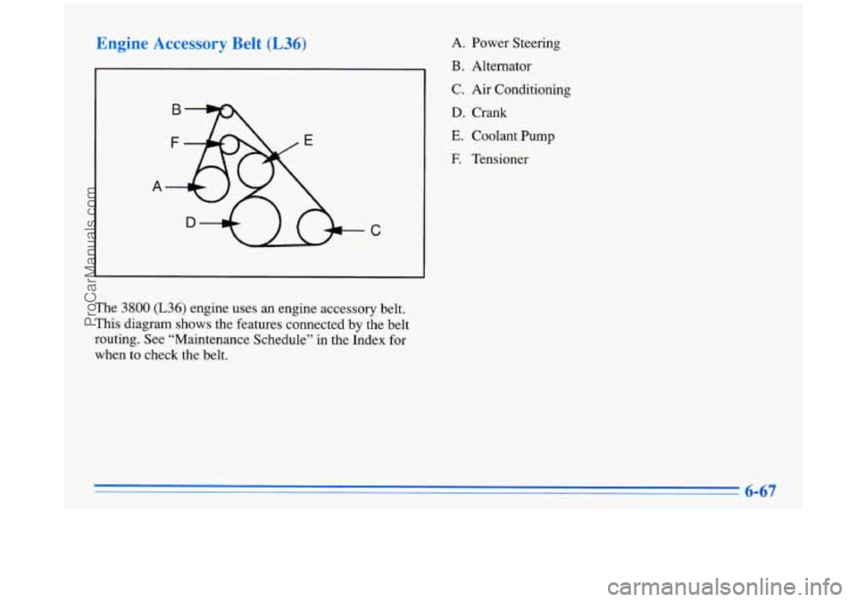BUICK PARK AVENUE 1996 Owners Manual Engine Accessory Belt (L36)
C
I
A. Power Steering
B. Alternator
C. Air Conditioning
D. Crank
E. Coolant Pump
E Tensioner
The
3800 (L36) engine uses an engine accessory belt.
This diag BUICK PARK AVENUE 1996 Owners Manual Engine Accessory Belt (L36)
C
I
A. Power Steering
B. Alternator
C. Air Conditioning
D. Crank
E. Coolant Pump
E Tensioner
The
3800 (L36) engine uses an engine accessory belt.
This diag