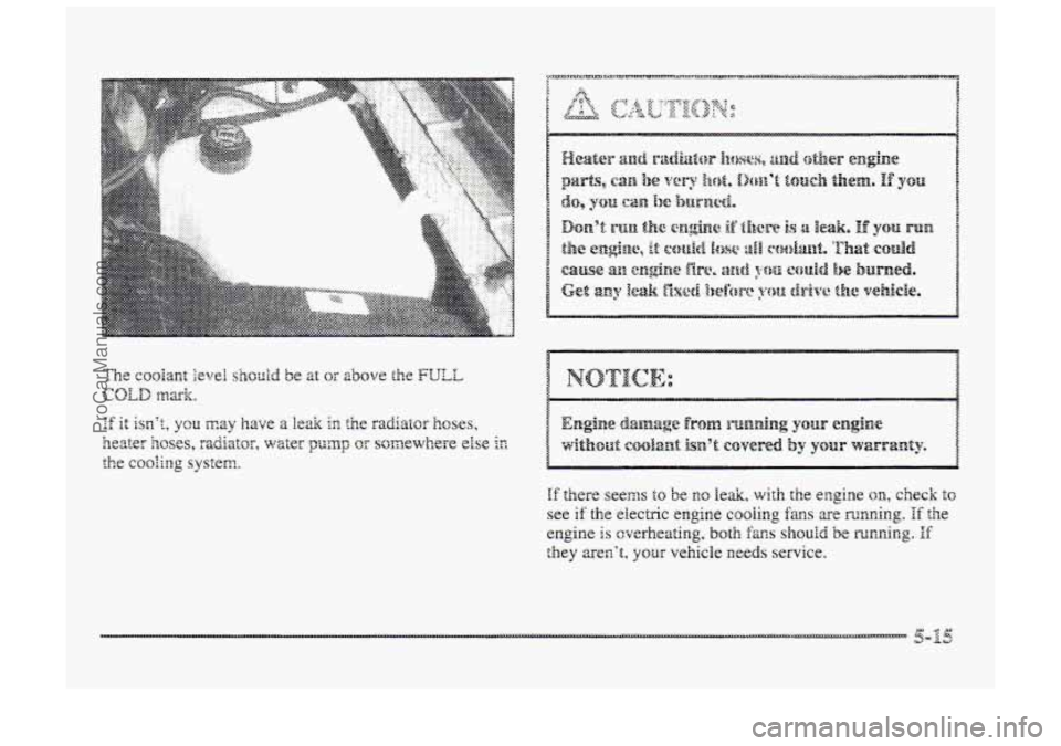 BUICK PARK AVENUE 1998  Owners Manual If there seem to be no leak, with the engine on, check io 
see if the electric engiap,e cooling fans are mnning. If the 
engine is cverkeating, both fm.s shouici be marning. If 
they arent, your vehi