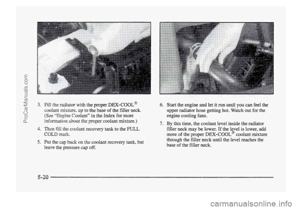 BUICK PARK AVENUE 1998  Owners Manual /.:.:..; ..... .......... .:.:.....: ...... T%%%Y. .............. ,I ............. w.... .... ....... 
3. 
4. 
5. 
6. 
7. 
Start the engine and let it mn until you can feel the 
upper  radiator hose g