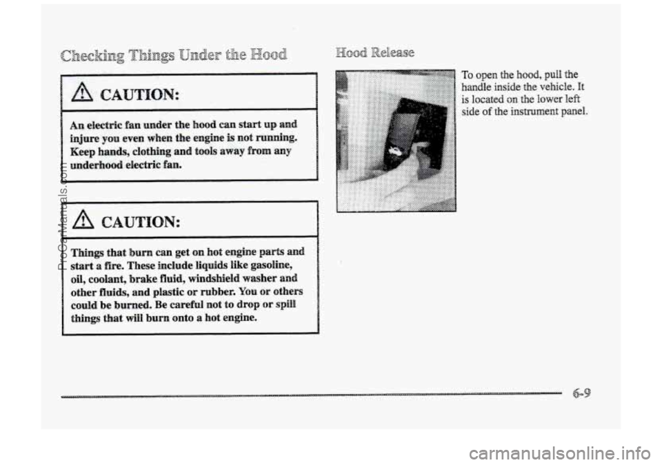 BUICK PARK AVENUE 1998  Owners Manual Things that bum  can  get on hot engine parts and 
start a fire. These include liquids like  gasoline, 
oil, coolant,  brake fluid, windshield  washer and 
other fluids, and plastic ~r rubber. YQU OF 